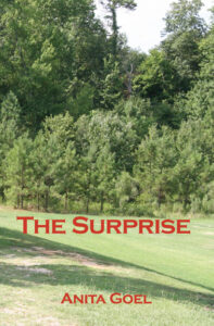 The Surprise - front