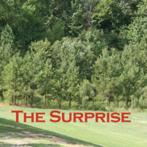 The Surprise - front